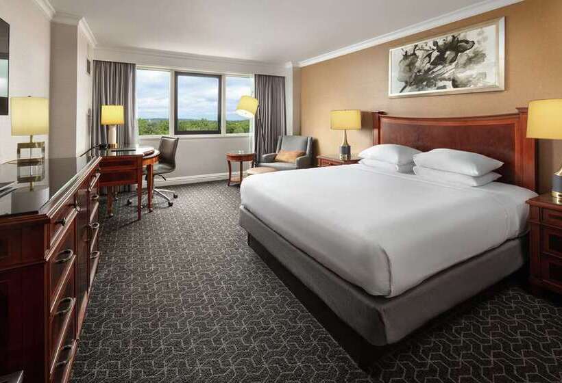 스탠다드 룸, Hilton Dallas/park Cities