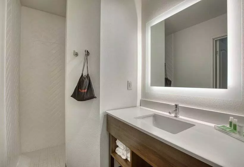 سوییت, Holiday Inn Hotel & Suites Madison West, An Ihg