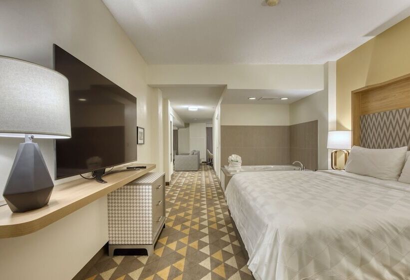 スイート, Holiday Inn Hotel & Suites Madison West, An Ihg