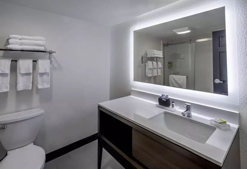 اتاق استاندارد, Holiday Inn & Suites Wausau Rothschild, An Ihg