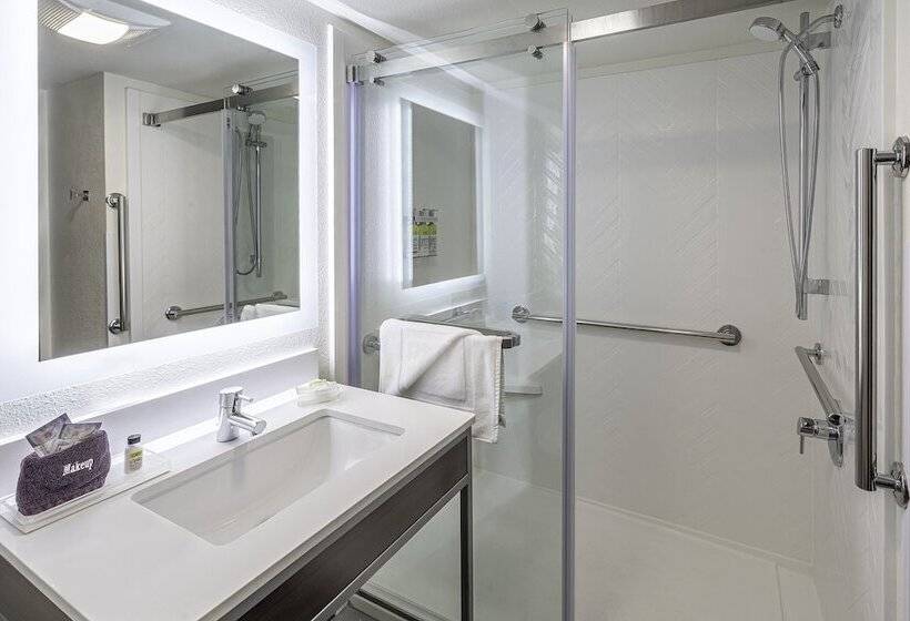Люкс Адаптированный для Инвалидов, Holiday Inn & Suites Wausau Rothschild, An Ihg