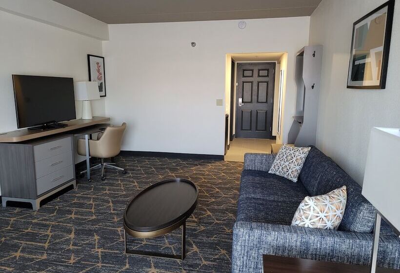Люкс Адаптированный для Инвалидов, Holiday Inn & Suites Wausau Rothschild, An Ihg