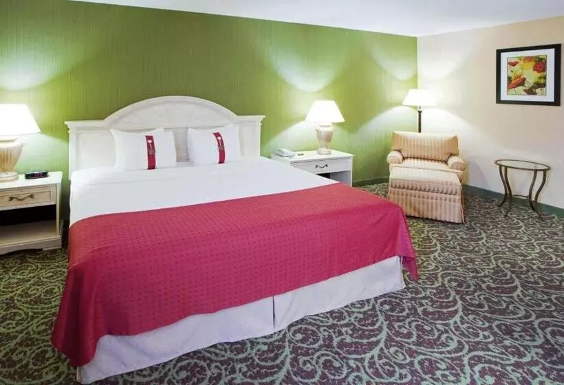 Executive Room King Size Bed