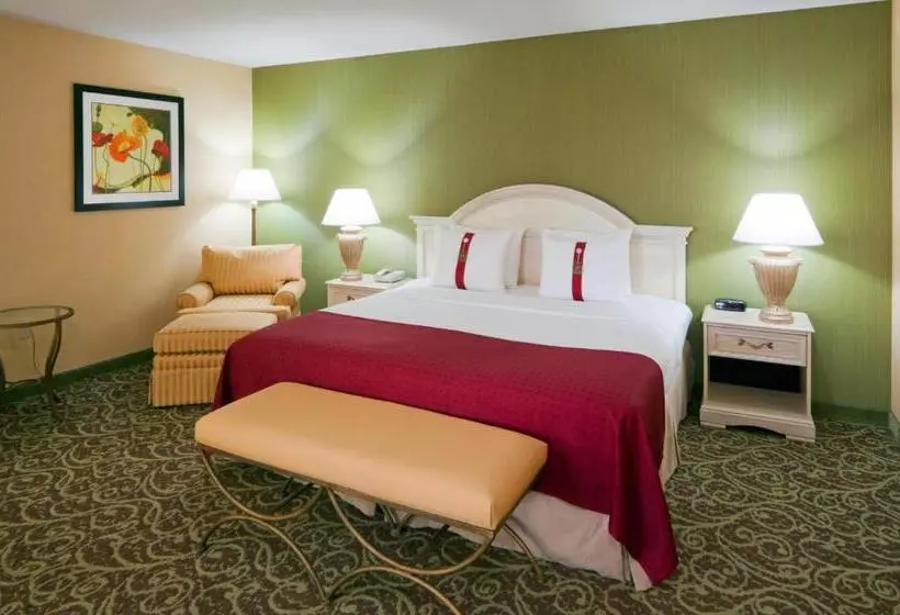 キングサイズベッドのスイートルーム, Holiday Inn Chantilly Dulles Expo Airport, An Ihg
