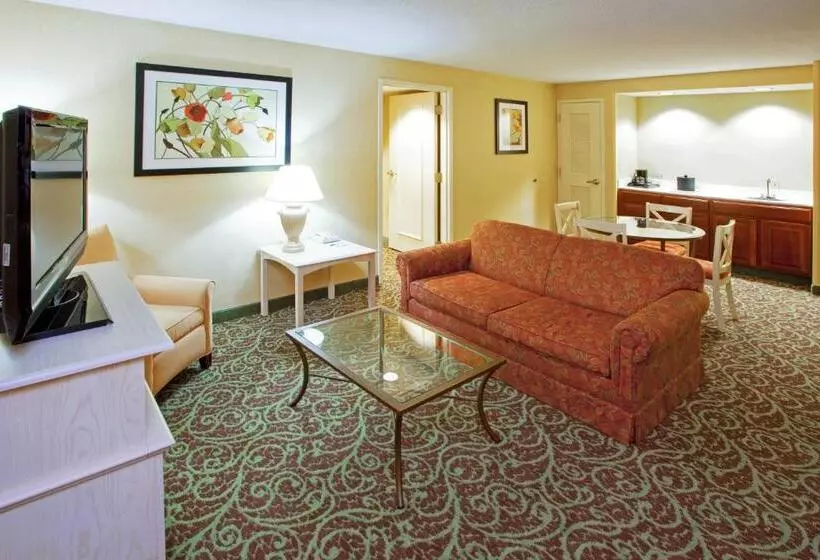 キングサイズベッドのスイートルーム, Holiday Inn Chantilly Dulles Expo Airport, An Ihg