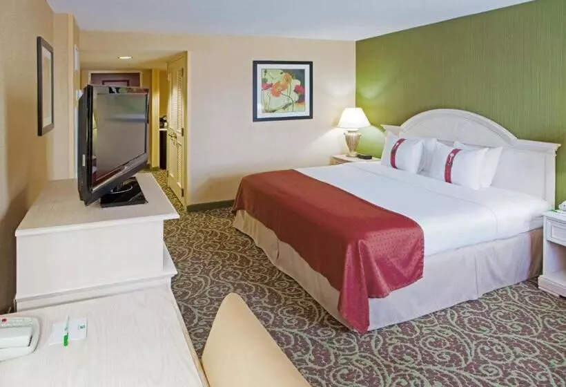 身障者適用キングサイズベッドルーム, Holiday Inn Chantilly Dulles Expo Airport, An Ihg