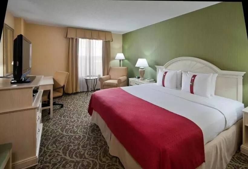 Standard Room King Bed Adapted for people with reduced mobility