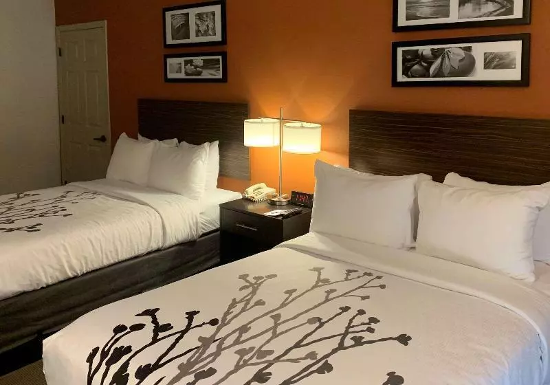 デラックスルーム, Holiday Inn Chantilly Dulles Expo Airport, An Ihg