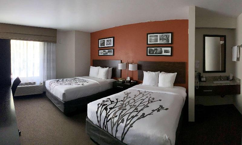 디럭스 룸, Holiday Inn Chantilly Dulles Expo Airport, An Ihg