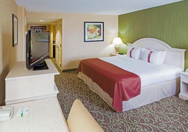 스탠다드 룸 킹사이즈 침대, Holiday Inn Chantilly Dulles Expo Airport, An Ihg