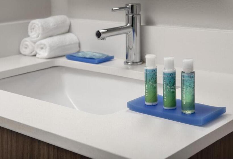 适合残疾人使用的标准间, Holiday Inn Express San Antonio North Riverwalk Area, An Ihg