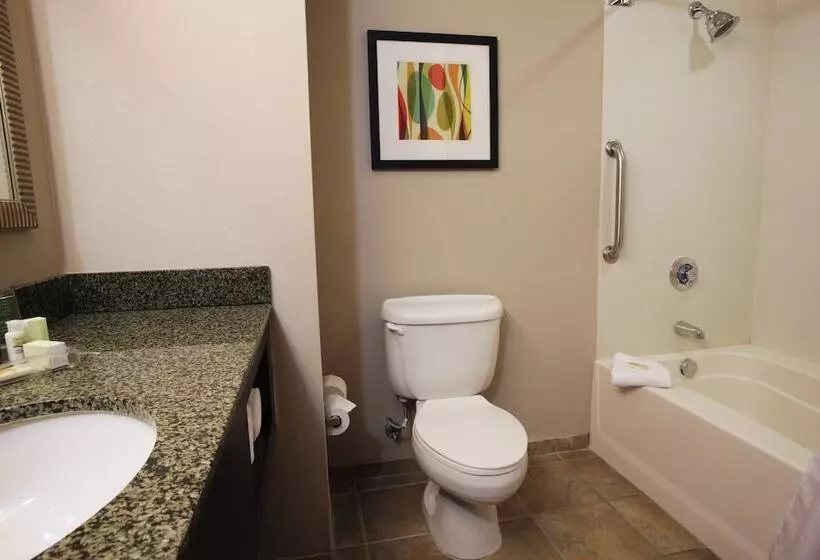 スタンダードルーム, Holiday Inn Phoenix/chandler, An Ihg