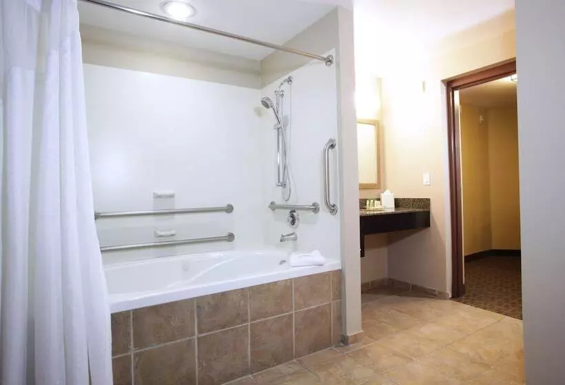 身障者適用スイートルーム, Holiday Inn Phoenix/chandler, An Ihg