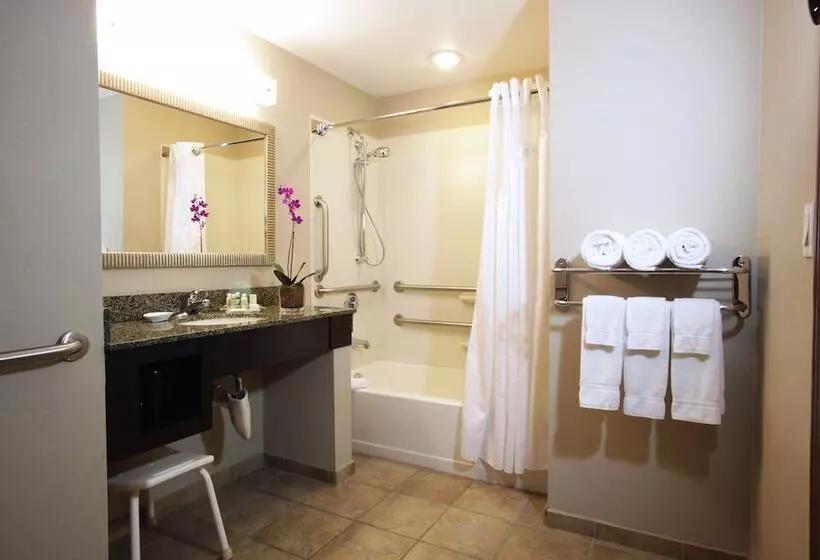 身障者適用スイートルーム, Holiday Inn Phoenix/chandler, An Ihg
