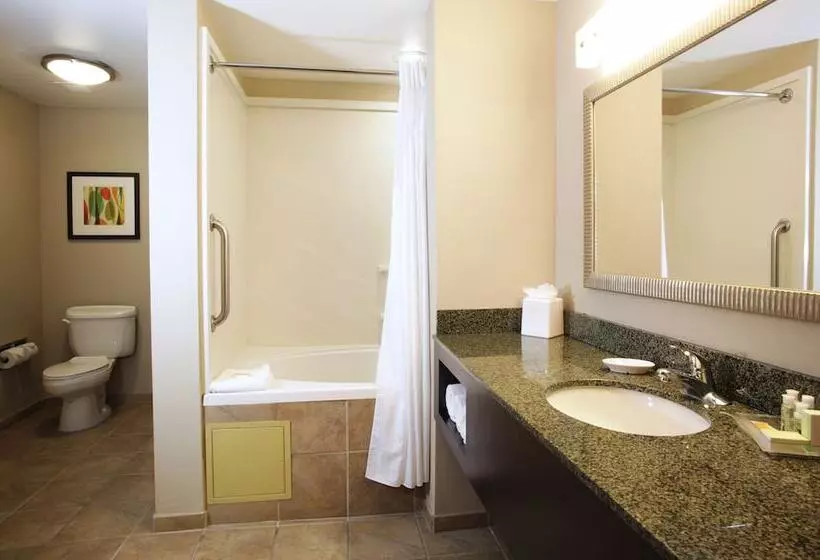 身障者適用スイートルーム, Holiday Inn Phoenix/chandler, An Ihg