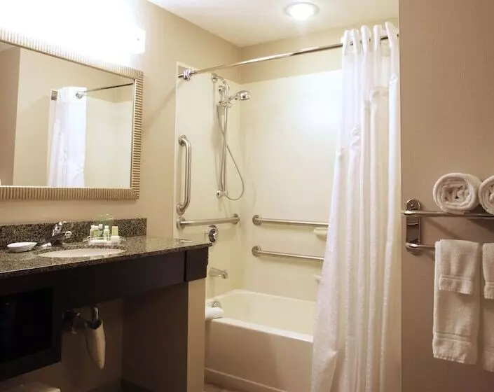 身障者適用スイートルーム, Holiday Inn Phoenix/chandler, An Ihg
