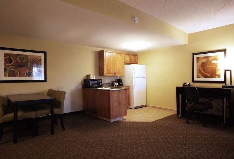 جناح لذوى الاحتياجات الخاصة, Holiday Inn Phoenix/chandler, An Ihg