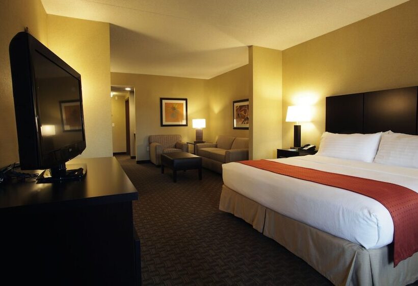 جناح لذوى الاحتياجات الخاصة, Holiday Inn Phoenix/chandler, An Ihg