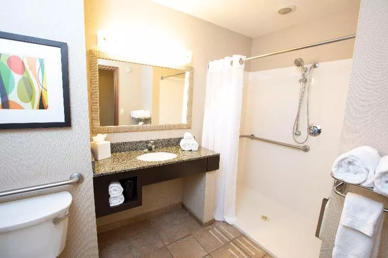 身障者適用スタンダードルーム, Holiday Inn Phoenix/chandler, An Ihg