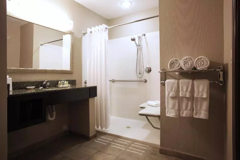 身障者適用スタンダードルーム, Holiday Inn Phoenix/chandler, An Ihg