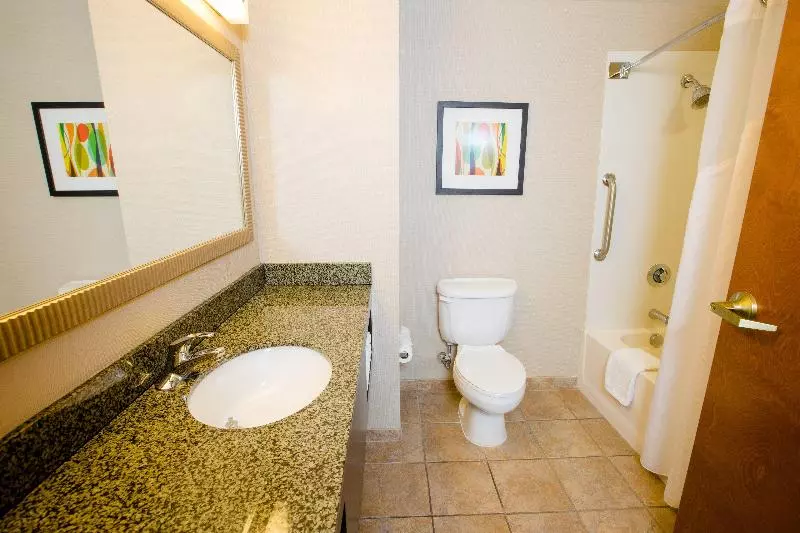 キングサイズベッドのスタンダードルーム, Holiday Inn Phoenix/chandler, An Ihg