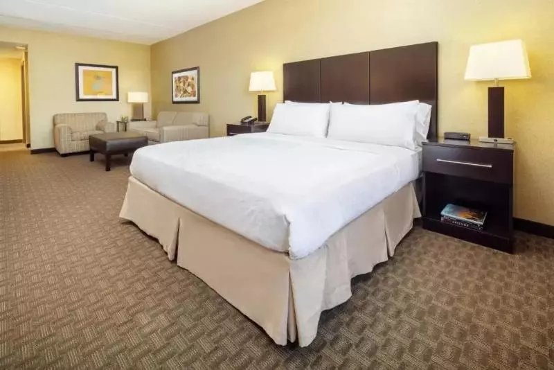 キングサイズベッドのスタンダードルーム, Holiday Inn Phoenix/chandler, An Ihg