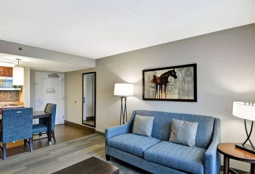 身障者適用スイートルーム, Homewood Suites By Hilton Lexington Fayette Mall