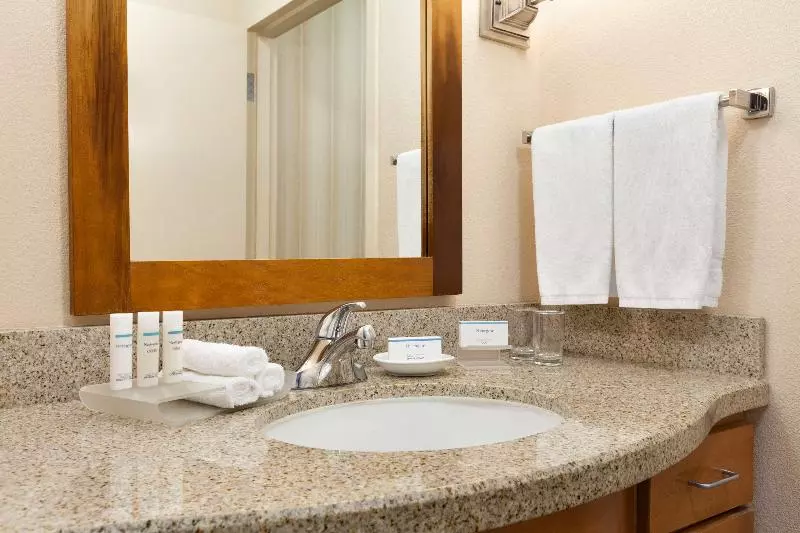 سوئیت با تخت بزرگ, Homewood Suites By Hilton San Francisco Airportnorth