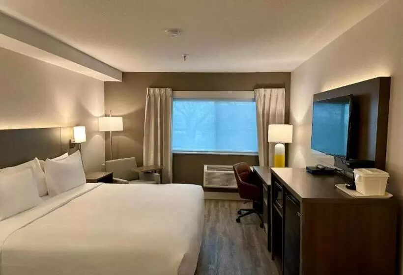 キングサイズベッドのスタンダードルーム, Comfort Inn Battle Mountain   Midway Between Elko And Winnemucca