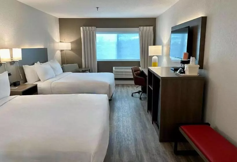 スタンダード４人部屋, Comfort Inn Battle Mountain   Midway Between Elko And Winnemucca