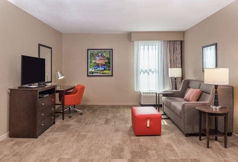 套房, Hampton Inn & Suites Charlottearrowood Rd
