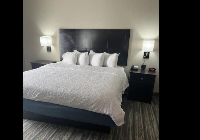 キングサイズベッドのスタンダードルーム, Comfort Inn & Suites