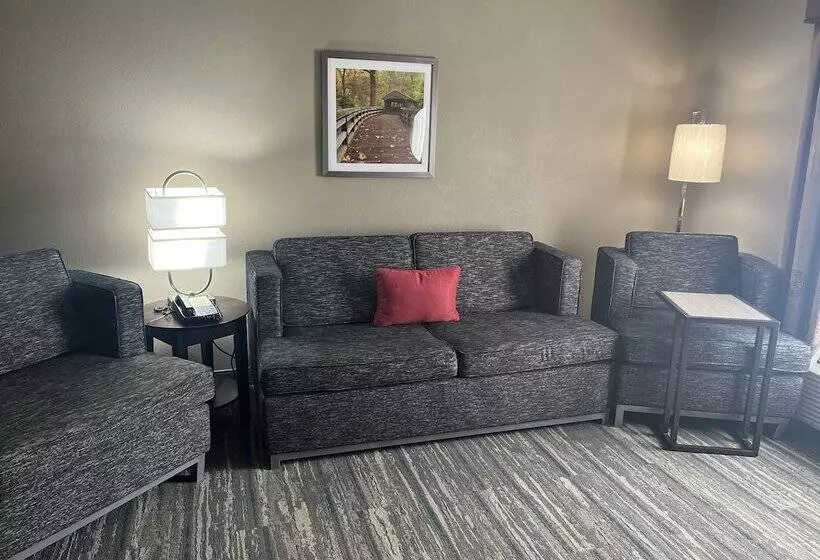 スイート, Comfort Inn & Suites