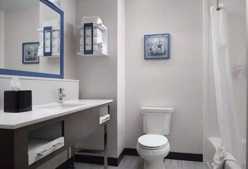 Standard-huone, Hampton Inn & Suites Dallas Dfw Arpt W Sh 183 Hurst