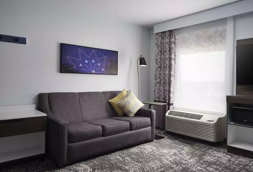 Standard-studio, Hampton Inn & Suites Dallas Dfw Arpt W Sh 183 Hurst