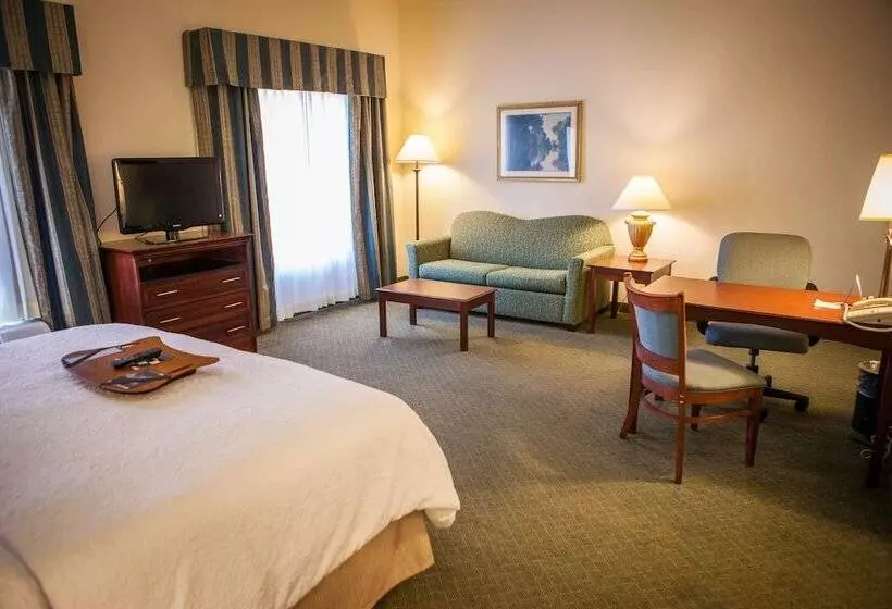 استودیوی استاندارد, Hampton Inn & Suites Springfield Southwest