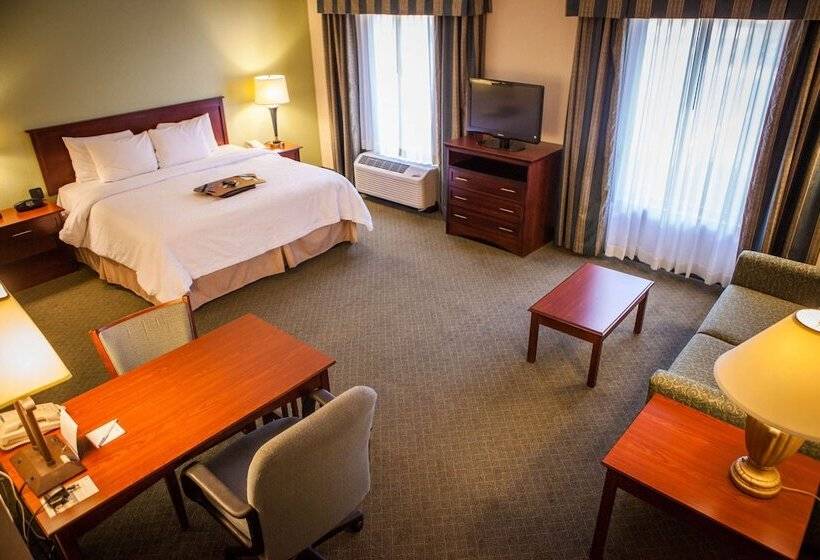 标准工作室, Hampton Inn & Suites Springfield Southwest