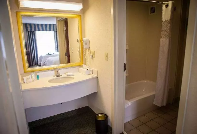 سوییت, Hampton Inn & Suites Springfield Southwest