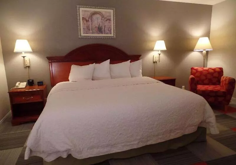 キングサイズベッドのデラックスルーム, Hampton Inn Bowling Green
