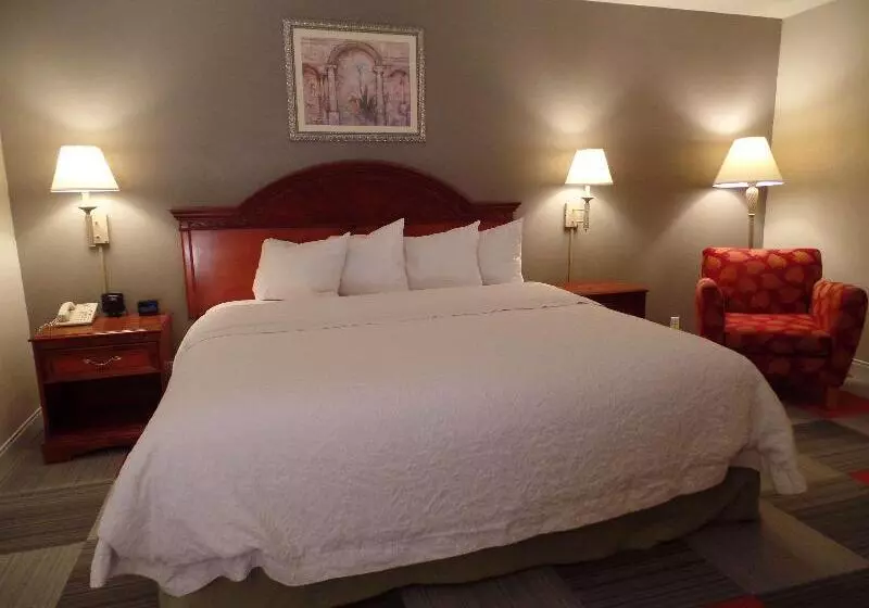 キングサイズベッドのデラックスルーム, Hampton Inn Bowling Green