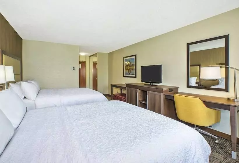 ２ダブルベッドのスタンダードルーム, Hampton Inn Hotel Detroit/belleville Airport Area