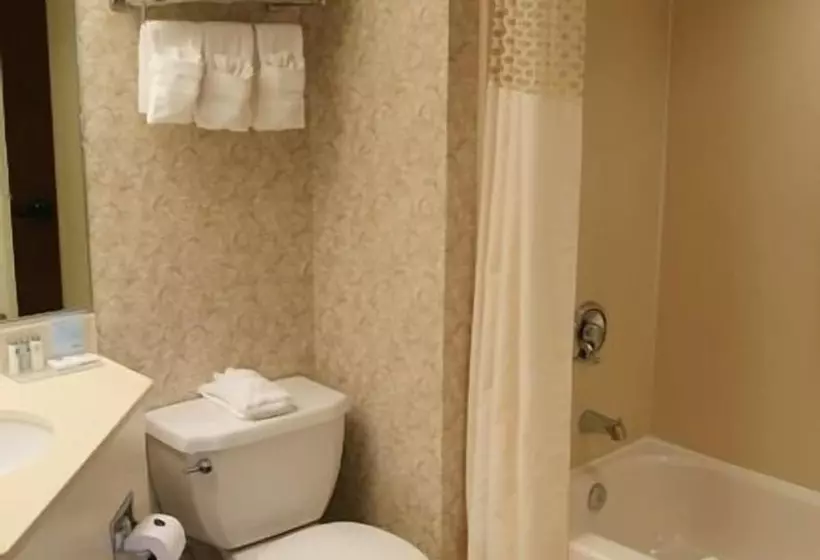 身障者適用キングサイズベッドルーム, Hampton Inn Flemington