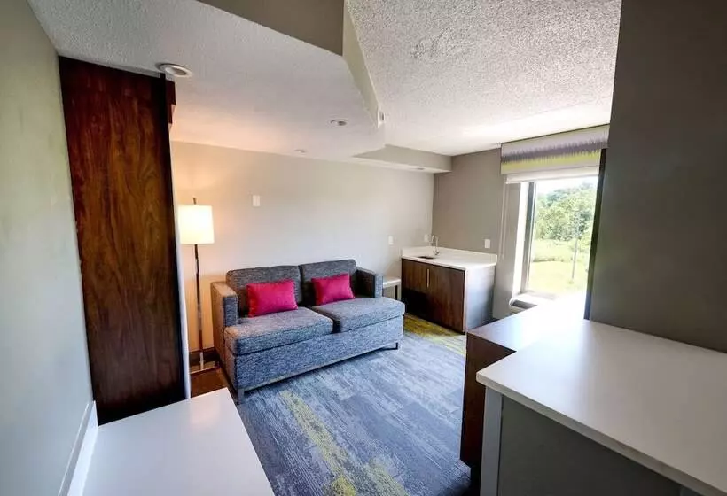 スイート, Hampton Inn Flemington