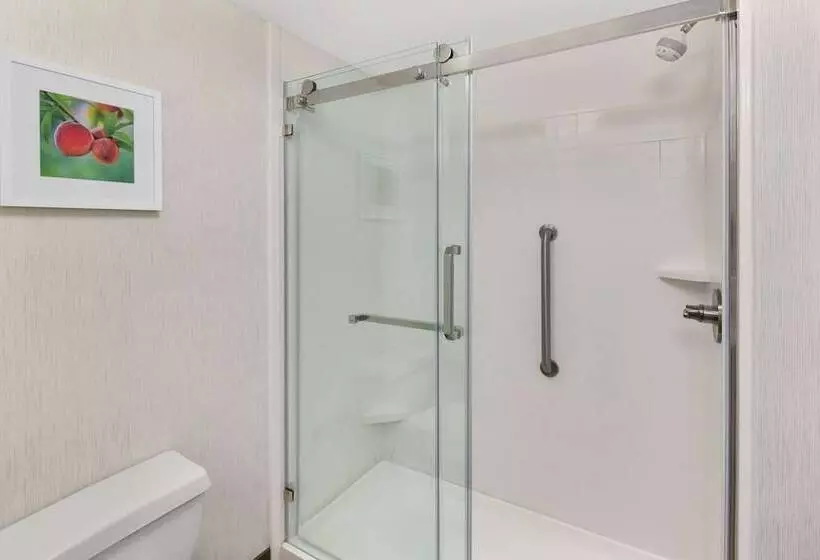 ２ダブルベッドのスタンダードルーム, Hampton Inn Lagrange Near Callaway Gardens