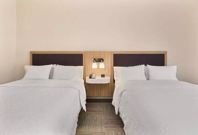 ２ダブルベッドのスタンダードルーム, Hampton Inn Lagrange Near Callaway Gardens