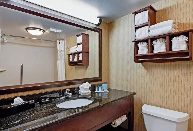 اتاق استاندارد با چشم‌انداز دریاچه, Hampton Inn Myrtle Beach Broadway At The Beach
