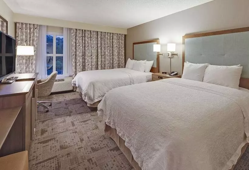 اتاق استاندارد با چشم‌انداز دریاچه, Hampton Inn Myrtle Beach Broadway At The Beach