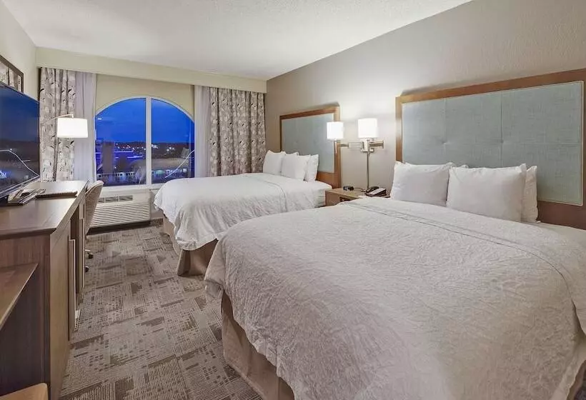 اتاق استاندارد با چشم‌انداز دریاچه, Hampton Inn Myrtle Beach Broadway At The Beach