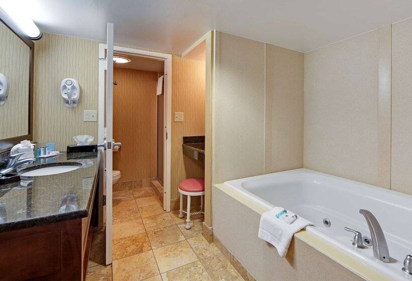 اتاق استاندارد با تخت بزرگ برای معلولان, Hampton Inn Myrtle Beach Broadway At The Beach