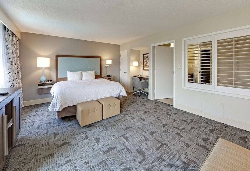Номер Стандарт Кровать Кинг Адаптированный для Инвалидов, Hampton Inn Myrtle Beach Broadway At The Beach